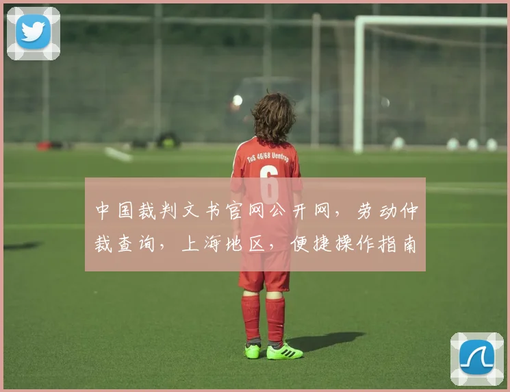 中国裁判文书官网公开网，劳动仲裁查询，上海地区，便捷操作指南，三步搞定
