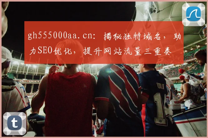gh555000aa.cn：揭秘独特域名，助力SEO优化，提升网站流量三重奏