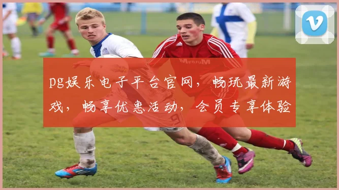 pg娱乐电子平台官网，畅玩最新游戏，畅享优惠活动，会员专享体验，不容错过