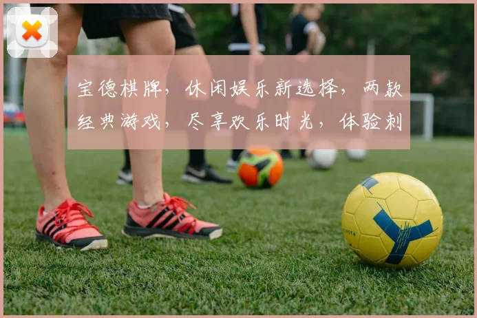 宝德棋牌，休闲娱乐新选择，两款经典游戏，尽享欢乐时光，体验刺激竞技